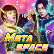 Meta Space