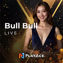Bull Bull Live